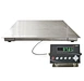 ATEX  Floor Scales for Ex Areas
